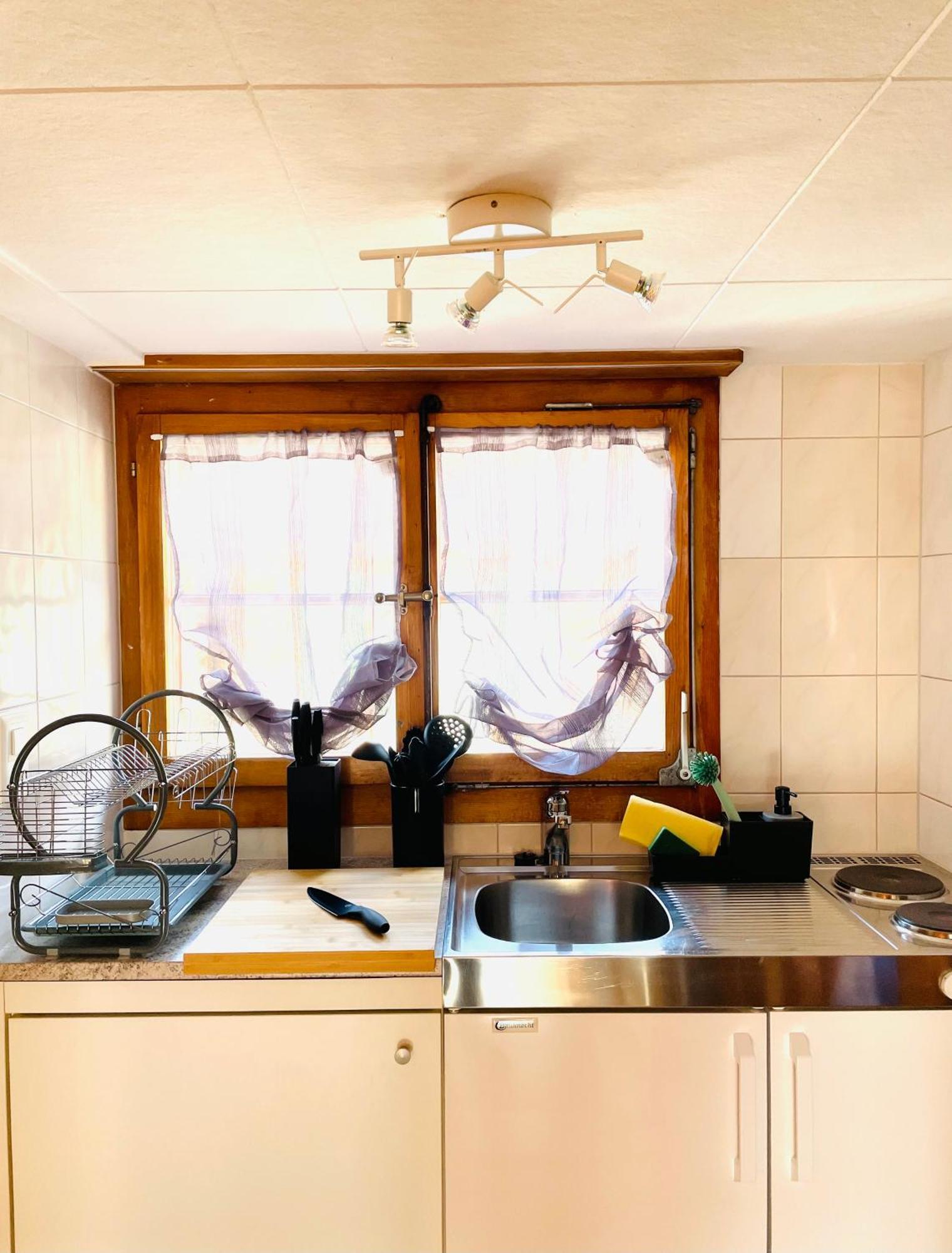 Charming, Well-Equipped Alpine Apartment Kandersteg Eksteriør billede